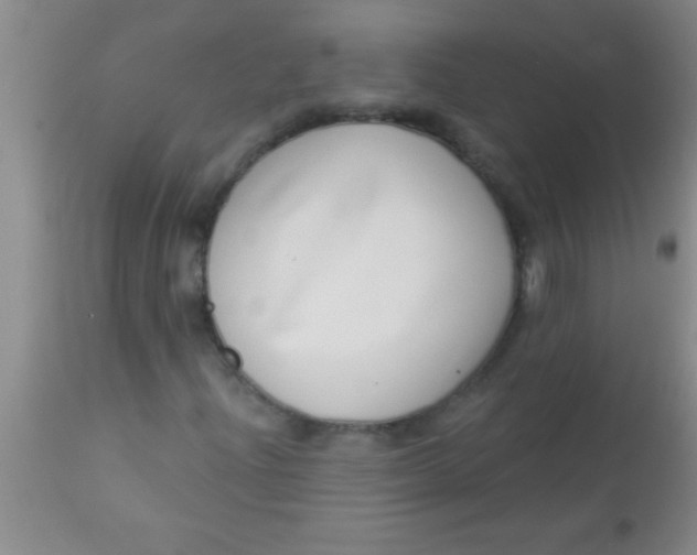 X0000112891204200909181904