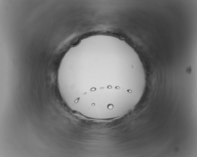 X0000112891206200909181904