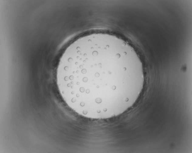 X0000112891208200909181904