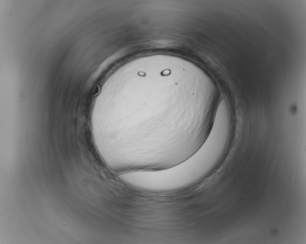 X0000112891210200909181904