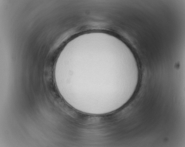 X0000112891211200909181904