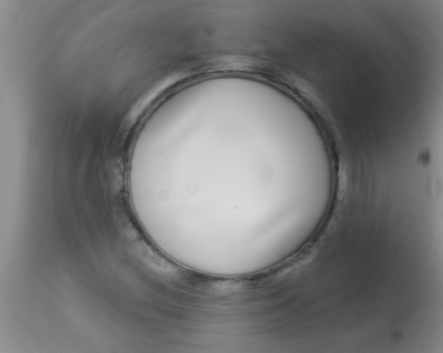X0000112891212200909181904