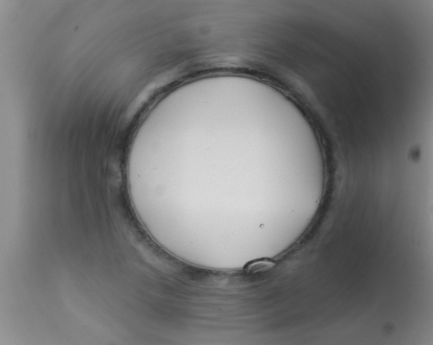 X0000112891218200909181904