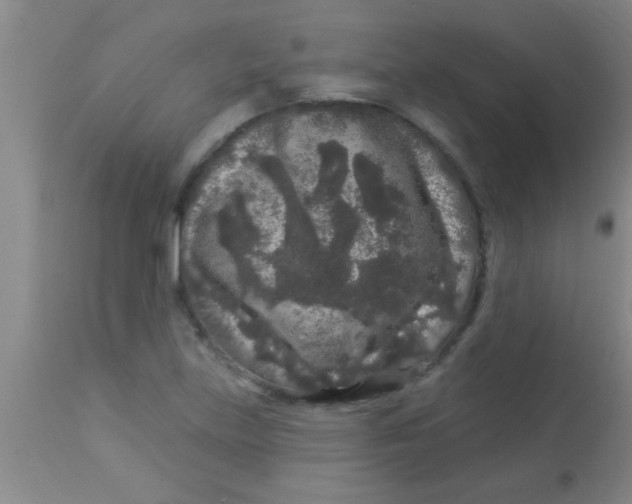 X0000112891219200909181904