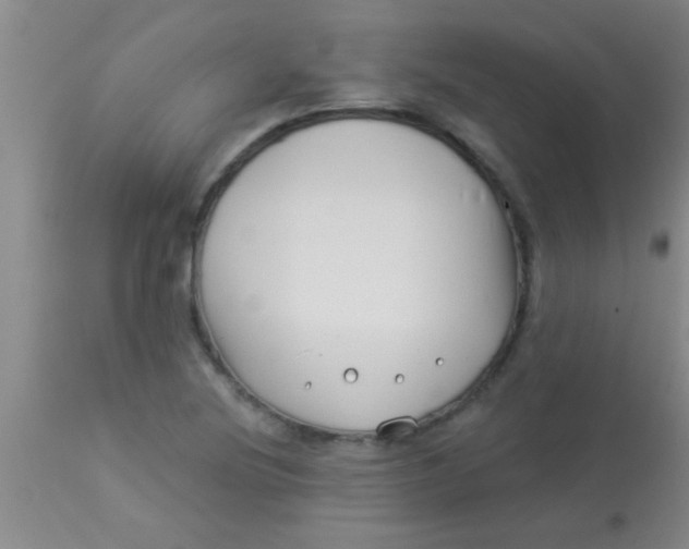 X0000112891220200909181904