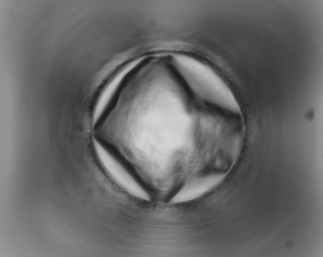 X0000112891221200909181904