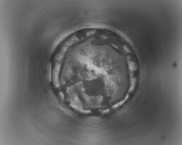 X0000112891223200909181904