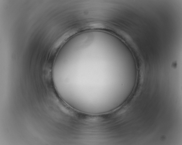 X0000112891225200909181904