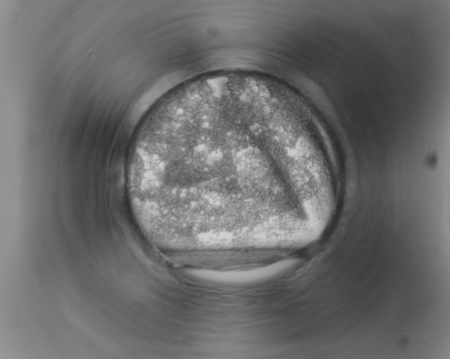 X0000112891226200909181904