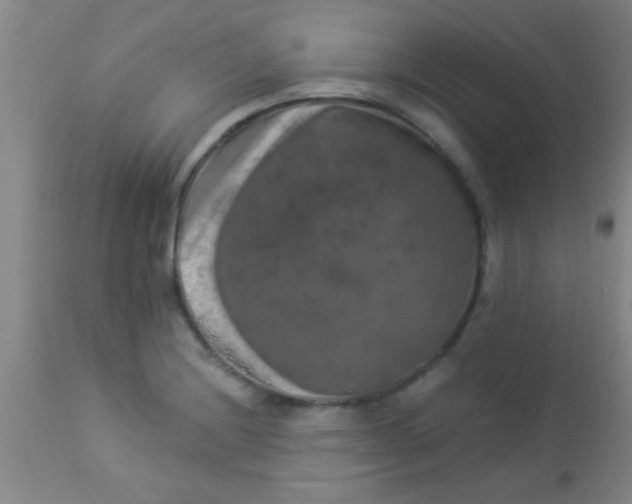 X0000112891228200909181904