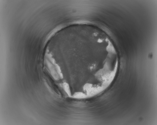 X0000112891229200909181904
