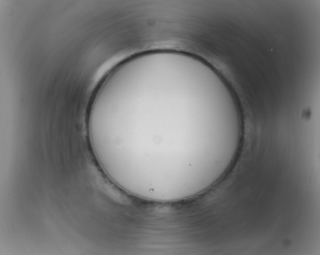 X0000112891230200909181904