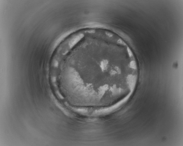 X0000112891231200909181904