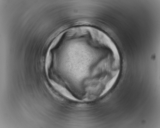 X0000112891233200909181904