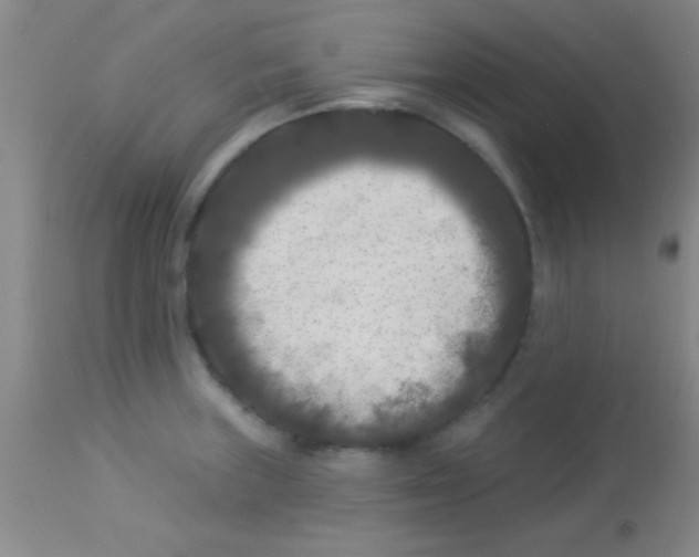 X0000112891235200909181904