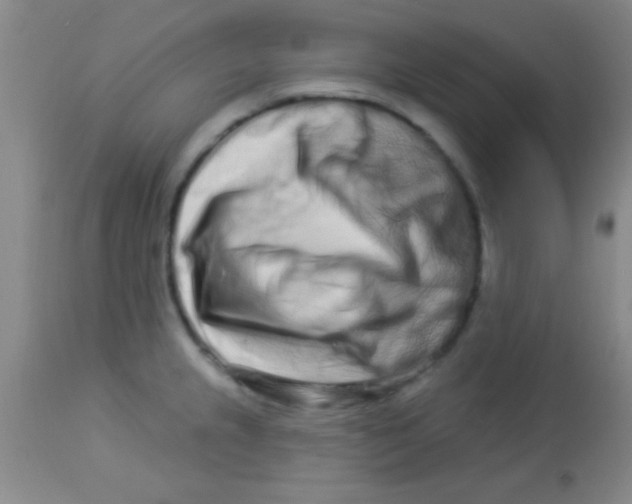 X0000112891237200909181904
