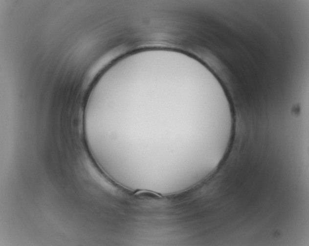 X0000112891238200909181904