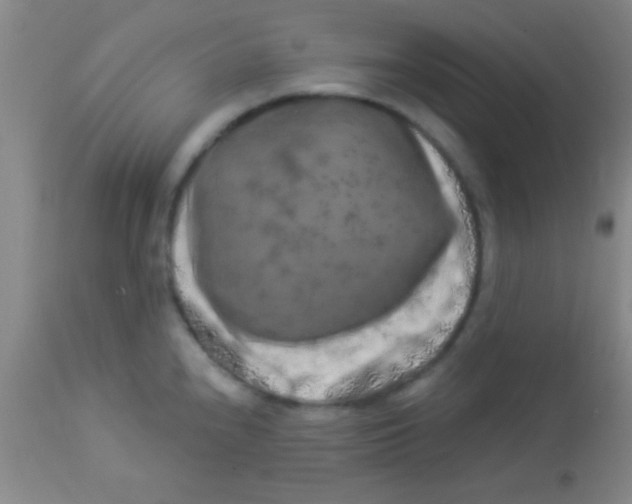 X0000112891240200909181904