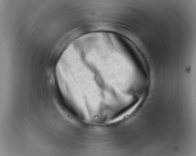 X0000112891241200909181904