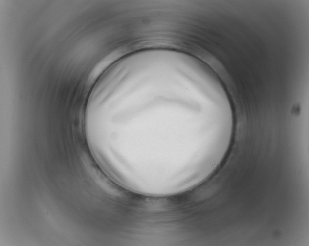 X0000112891242200909181904