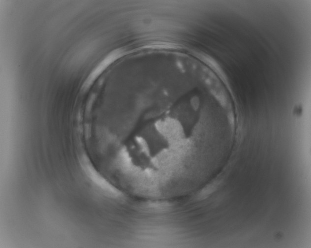 X0000112891243200909181904