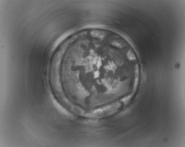 X0000112891245200909181904