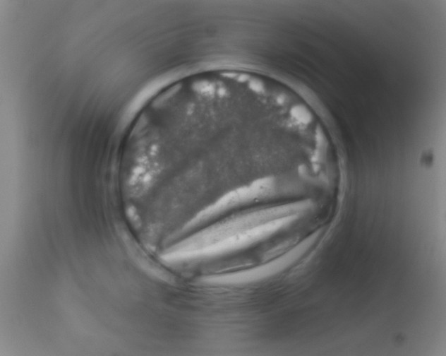 X0000112891246200909181904