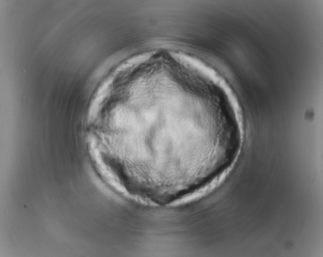 X0000112891247200909181904
