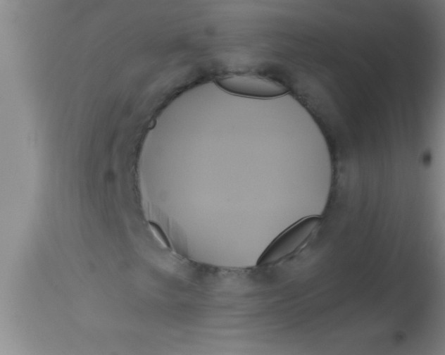 X0000112891249200909181904