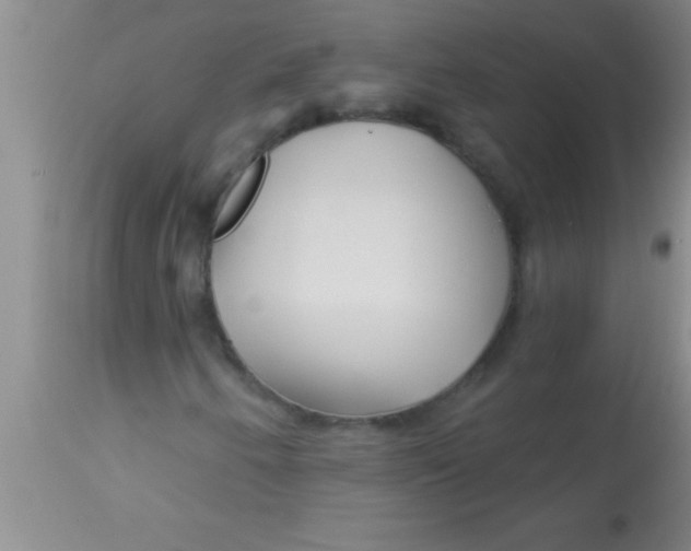 X0000112891250200909181904