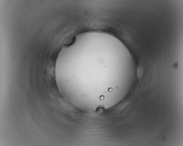 X0000112891251200909181904