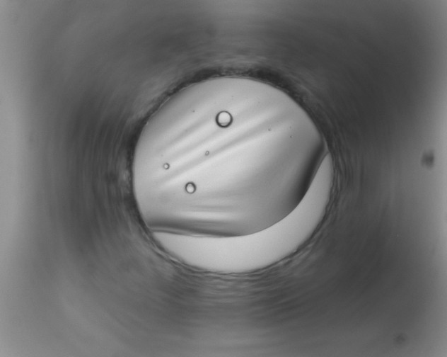 X0000112891252200909181904