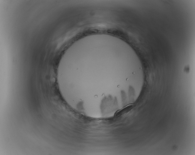 X0000112891253200909181904