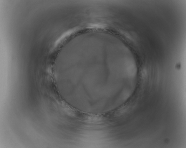 X0000112891254200909181904