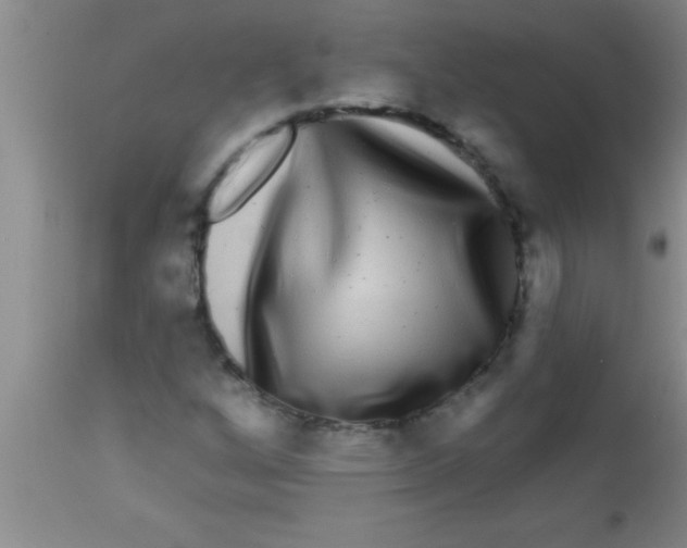 X0000112891256200909181904