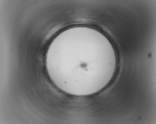 X0000112891259200909181904