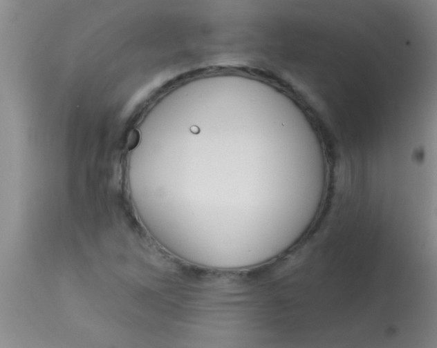 X0000112891262200909181903
