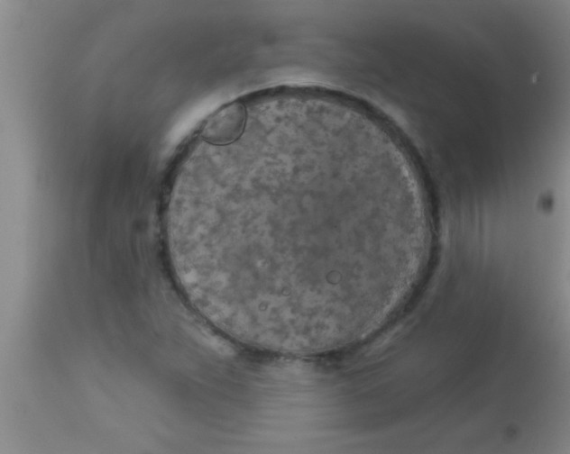 X0000112891263200909181903