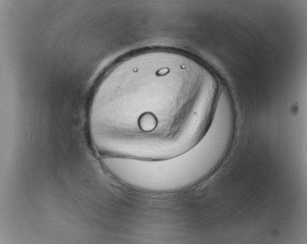 X0000112891264200909181903