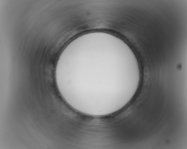 X0000112891265200909181903