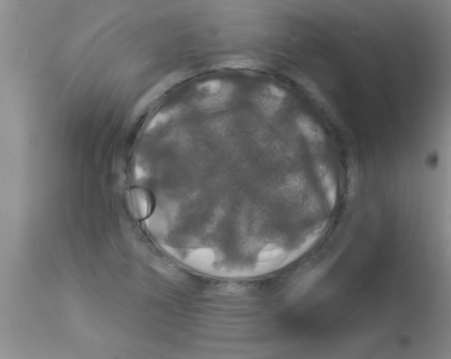 X0000112891266200909181903