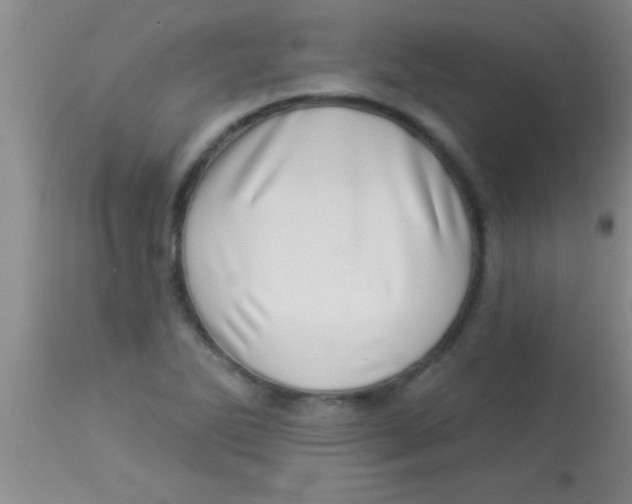 X0000112891270200909181903