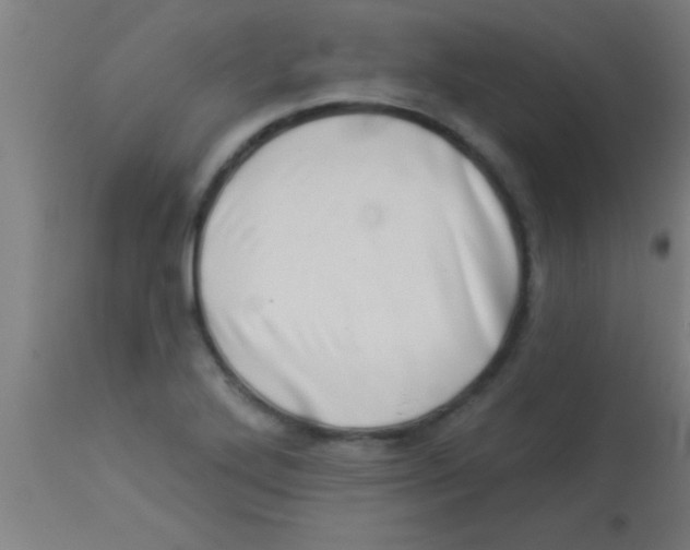 X0000112891272200909181903