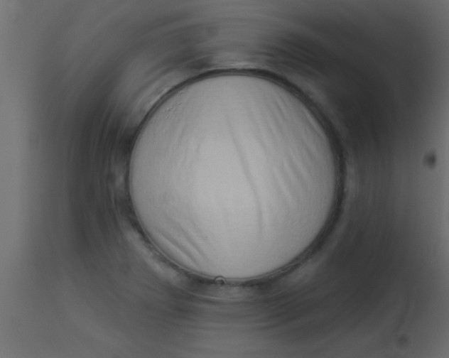 X0000112891273200909181903