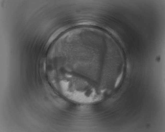 X0000112891274200909181903