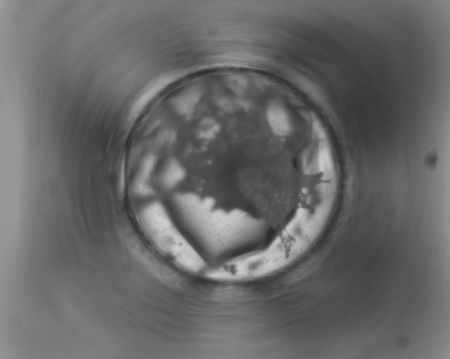 X0000112891275200909181903