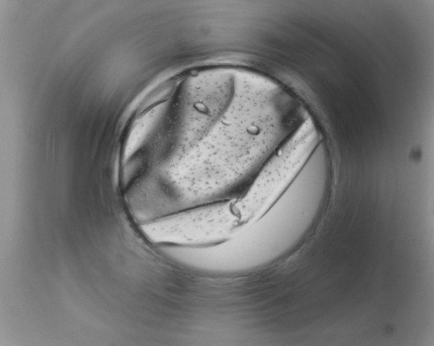 X0000112891276200909181903