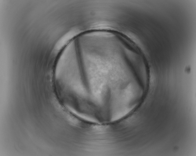 X0000112891277200909181903