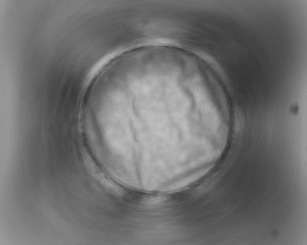 X0000112891278200909181903