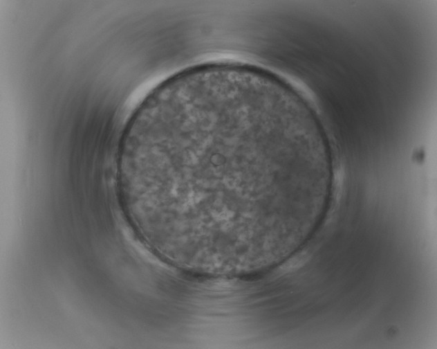X0000112891279200909181903